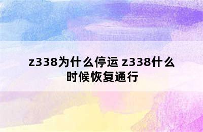 z338为什么停运 z338什么时候恢复通行